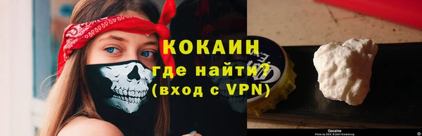 соль ск Невель