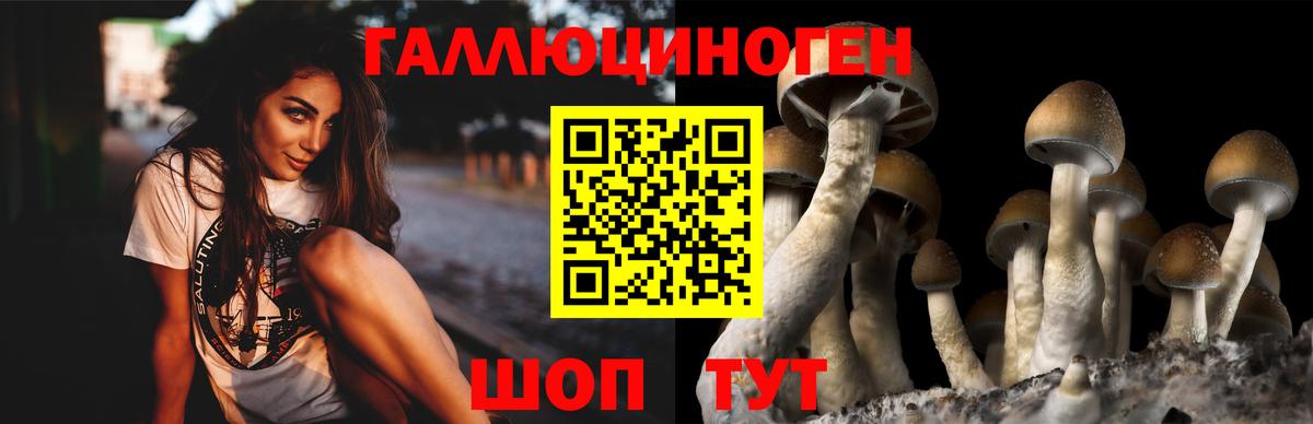 Галлюциногенные грибы мухоморы Пермь